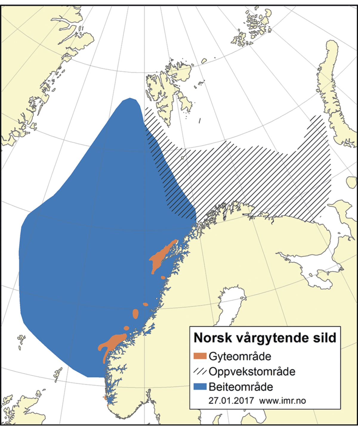 Figur 4.27 Utbreiingsområde og gyteområde for norsk vårgytande sild.