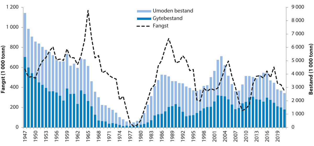 Figur 4.40 Utviklinga i bestand og fangst av nordsjøsild.