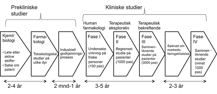 Figur 3.3 Illustrasjon av prekliniske og kliniske studier