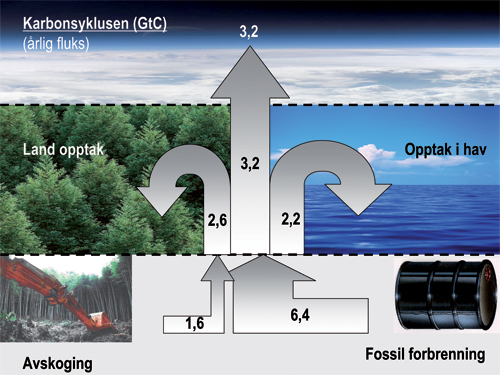 Figur 4.4 Datagrunnlaget for figuren er statistikk over salg av
fossile energikilder og satellittovervåking av verdens
landarealer, vitenskapelig beregnede data for CO2-konsentrasjonen
i havet og målinger av CO2-konsentrasjonen i
atmosfæren. Landopptaket er ut fra en restbetraktning beregnet å være
i samme størrelsesorden som opptaket i havet. Figuren er
basert på verdier som framkommer i dokumenter fra FNs klimapanel.