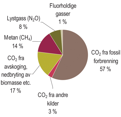 Figur 4.5 Verdens utslipp av klimagasser. Andel av de ulike menneskeskapte
 klimagassene i forhold til totale utslipp i 2007.