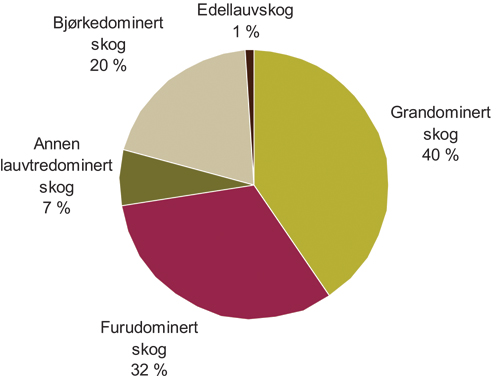 Figur 6.1 Det produktive skogarealet fordelt på dominerende
 treslag.