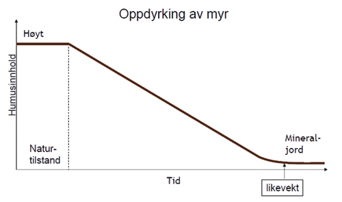 Figur 7.4 Ved oppdyrking av myr fjernes vann og oksygen kommer til. En
høy omdanning settes i gang og det organiske materialet brytes
ned. CO2 slippes ut og humusinnholdet synker. Etter en tid
vil humusinnholdet komme på et nivå der omdanningen avtar
og til slutt går over i likevekt med tilførselen
av organisk materiale. Netto CO2 utslipp blir null.