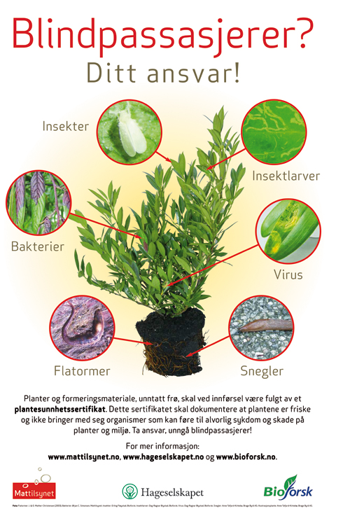 Figur 9.1 Plakat om skadegjørere som informerer reisende om
 faren for at skadegjørere kan følge med planter
 som tas med fra andre land. Utarbeidet av Mattilsynet, Hageselskapet
 og Bioforsk.