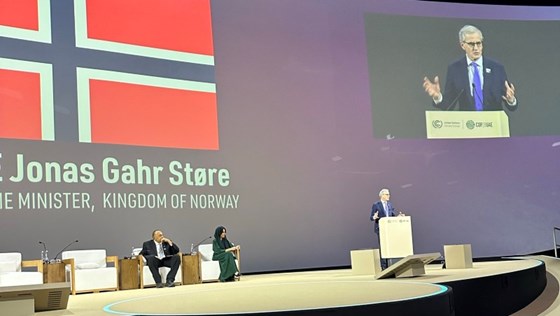 Statsminister Jonas Gahr Støre fremhevet viktigheten av en global innsats for å ta vare på skog og hav.