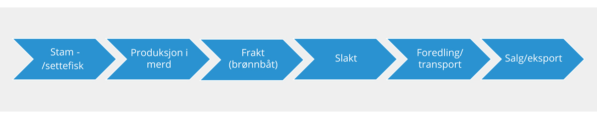 Figur 3.14 Verdikjeden for akvakultur
