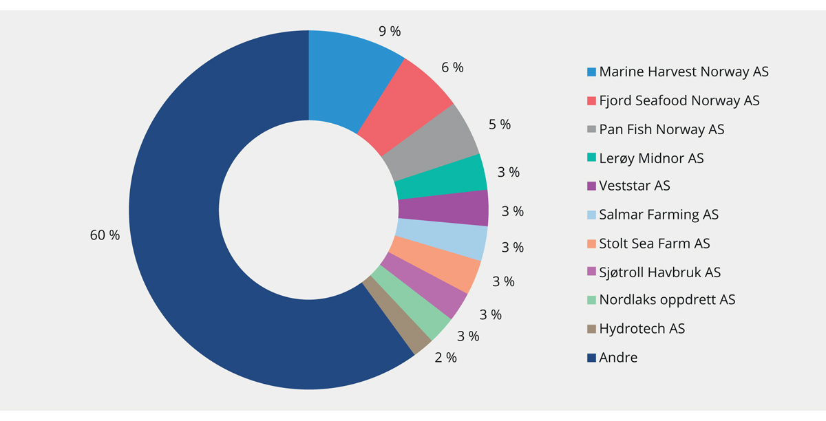 Figur 3.9 Oversikt over største aktører i oppdrettsnæringen. Andel av produksjonstillatelser per 31. desember 2005
