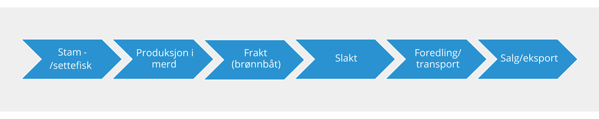 Figur 7.1 Oversikt over verdikjeden i havbruksnæringen
