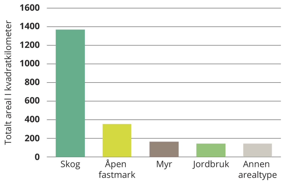 Figur 6.5 Arealtype i planlagte utbyggingsområder for bolig, fritidsbolig og næring.