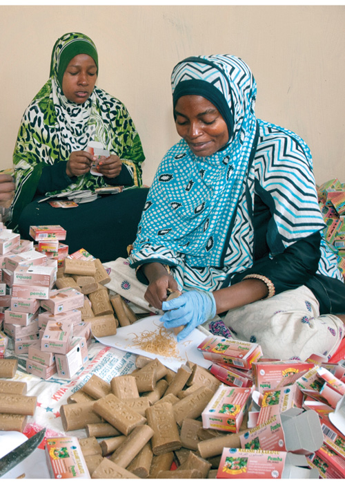Figur 3.7 Da det ble strøm på øya Pemba i Tanzania, startet en kvinnegruppe såpeproduksjon. Fabrikken leverer cirka 2000 såpestykker i uka og eksporterer blant annet til Zanzibar, Arusha og Oman.
