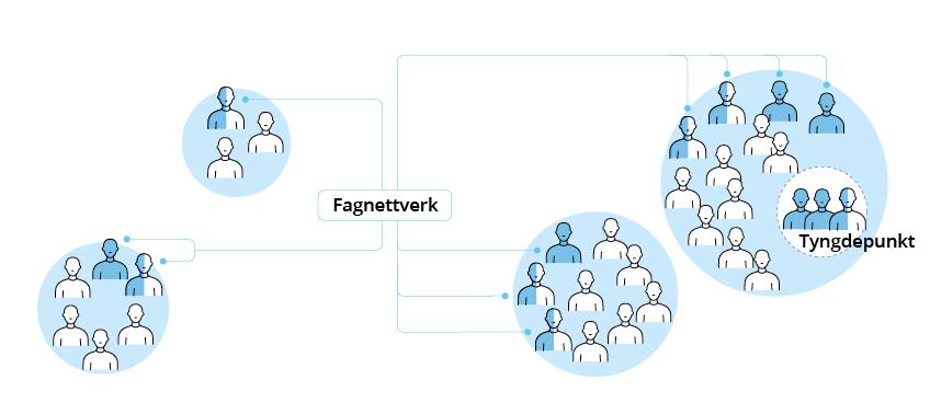 Figur 6.1 Spesialisert fagkompetanse kan samles i nettverk og samarbeide med øvrige deler av psykisk helsevern på ulike måter. Matriseorganisering innebærer at fagpersoner med spesialisert kompetanse er knyttet sammen i fagnettverk på tvers av organisatoriske enheter.