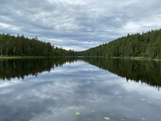 Eriksvann, Østmarka