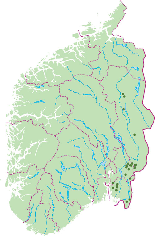 Figur 3.13 Hunder gjenfunnet og vurdert som dokumentert eller antatt drept
av ulv i Sør-Norge i perioden 1999–oktober 2003.