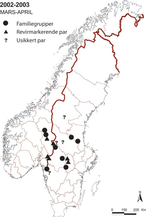 Figur 3.5 Utbredelsen av familiegrupper, revirmarkerende par eller to
dyr sammen i Skandinavia ved sesongslutt for ulvesporing i mars–april 2003.