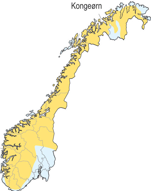 Figur 3.7 Hekkeutbredelse for kongeørn i Norge. Gul farge viser
utbredelsen.