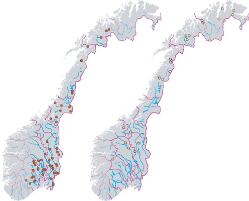 Figur 3.8 Røde plott viser gaupe felt i jaktsesongen 2003 (1.
februar–30. april). Gule plott viser jerv felt i lisensjaktsesongen
1. oktober 2002–15. februar 2003.