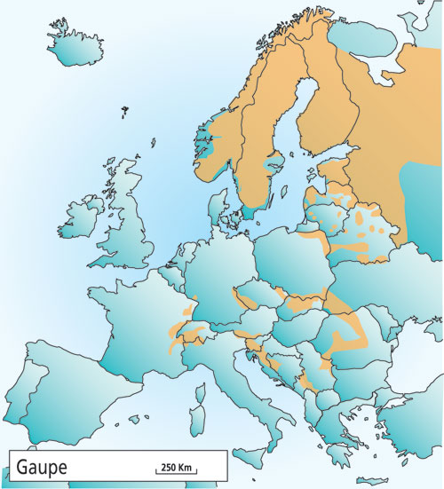 Figur 4.1 Utbredelsen av gaupe i Europa i 2001.