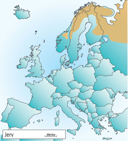 Figur 4.2 Utbredelsen av jerv i Europa i 2001.