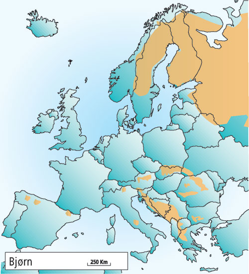 Figur 4.3 Utbredelsen av bjørn i Europa i 2001.