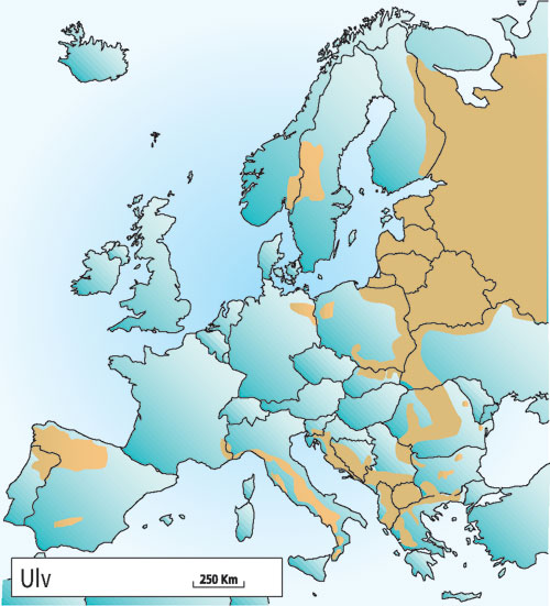 Figur 4.4 Utbredelsen av ulv i Europa i 2001.