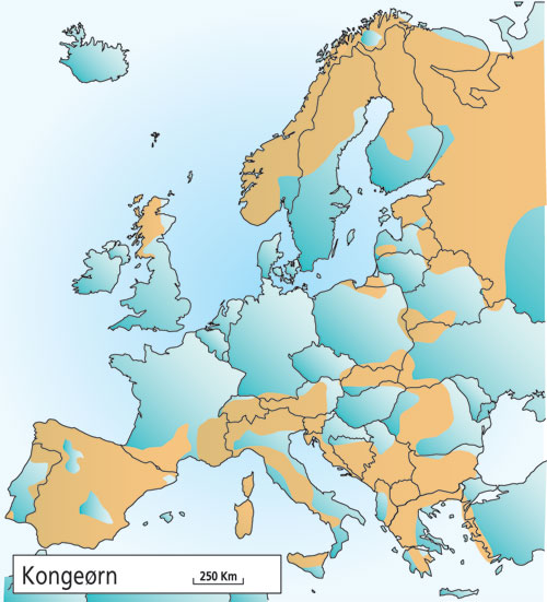 Figur 4.5 Utbredelsen av kongeørn i Europa i 2001.
