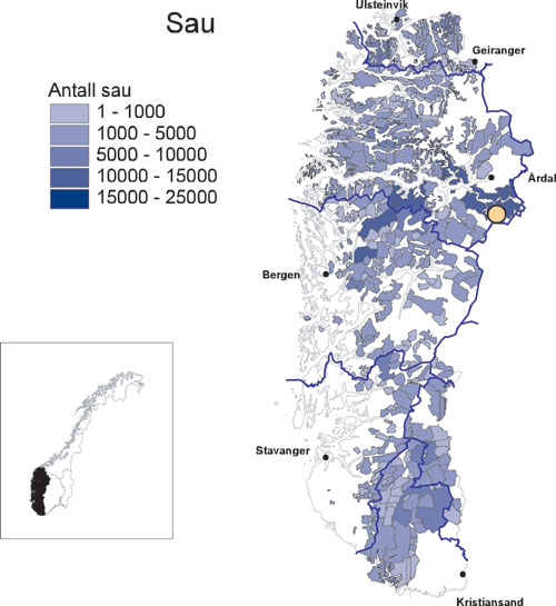 Figur 6.10 Dagens forekomst av rovdyr og sau i region 1. Bare sau fra
 brukere som er medlem i ordningen «organisert beitebruk» er
 representert. De mange hvite feltene på kartet i denne
 regionen skyldes innmarksbeiting og leiebeiting i andre områder,
 sam...