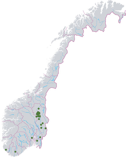 Figur 6.22 Avgang av ulv i perioden 1. januar 1992 til 1. oktober
 2003.