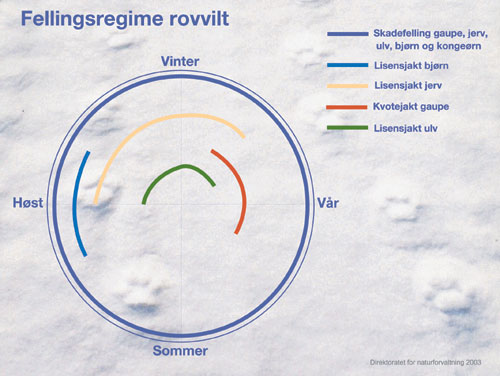 Figur 6.23 Oversikt over hovedprinsipper for felling av rovvilt gjennom
 en årsyklus.