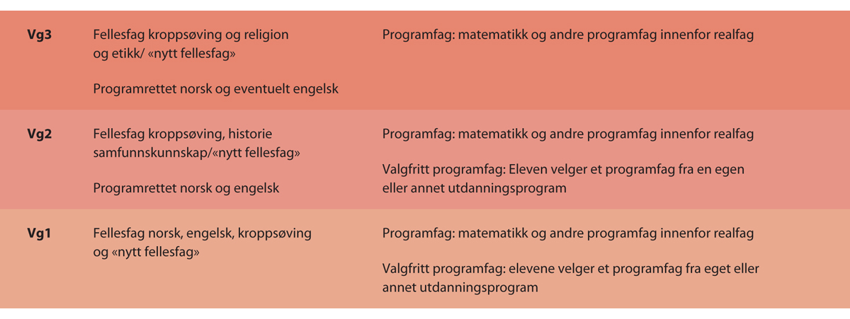 Figur 5.7 Illustrasjon av mulige fellesfag og obligatoriske og valgfrie programfag.