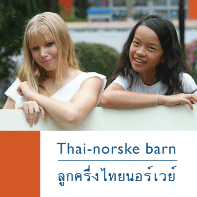 Figur 6.1 Brosjyre om situasjonen for thai-norske barn