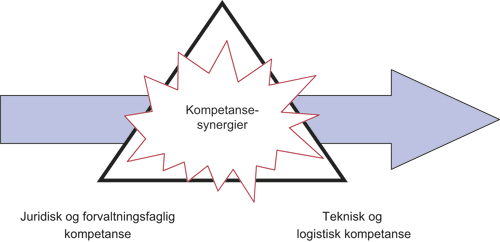 Figur 15.1 Pedagogisk og hab-/rehabfaglig kompetanse