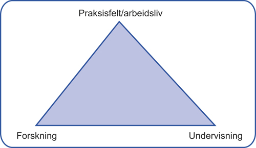 Figur 15.2 Sentrale aktører i samarbeidet rundt forskningsbasert
undervisning