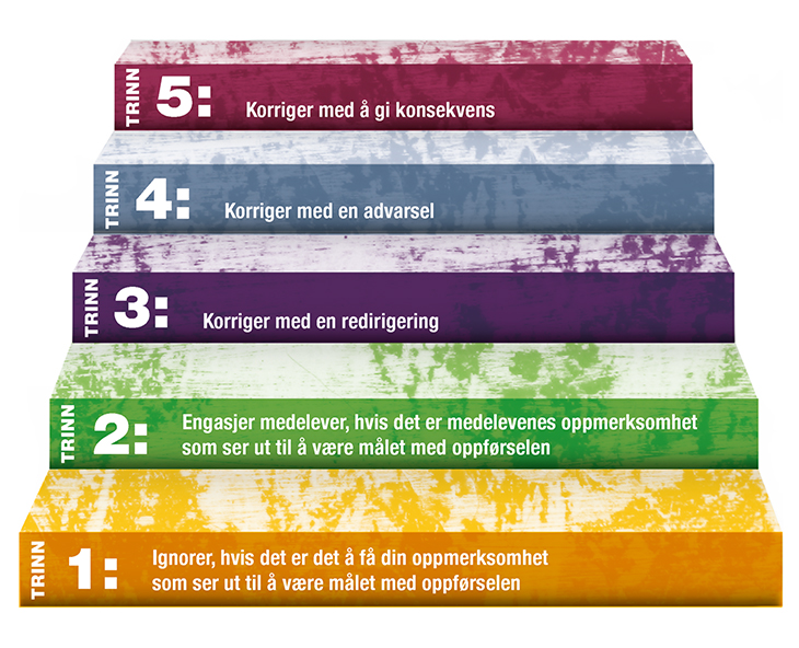 Figur 14.3 Intervensjonstrappen