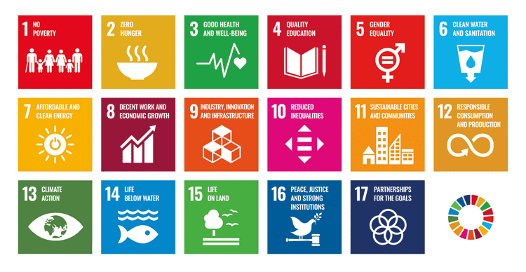 Figure 5.1 The United Nations’ 17 Sustainable Development Goals.