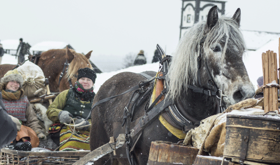 Figure 8.1 Horse-drawn sleighs arriving in Røros – the Dalarna Femund Drivers Association.