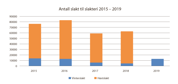 Figur 4.2 Antall slakt til slakteri 2015–2019