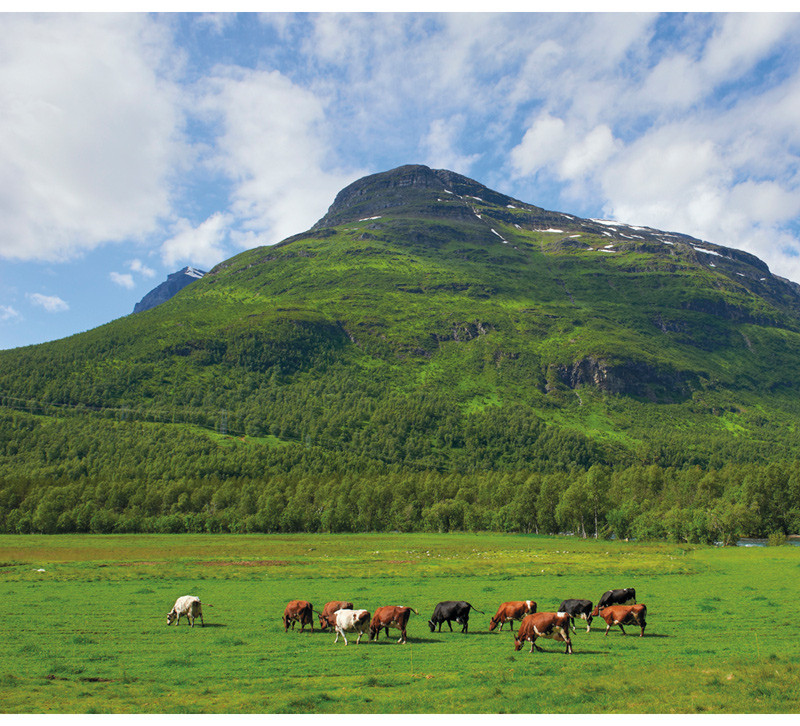 Figur 10.1 Bardu i Troms