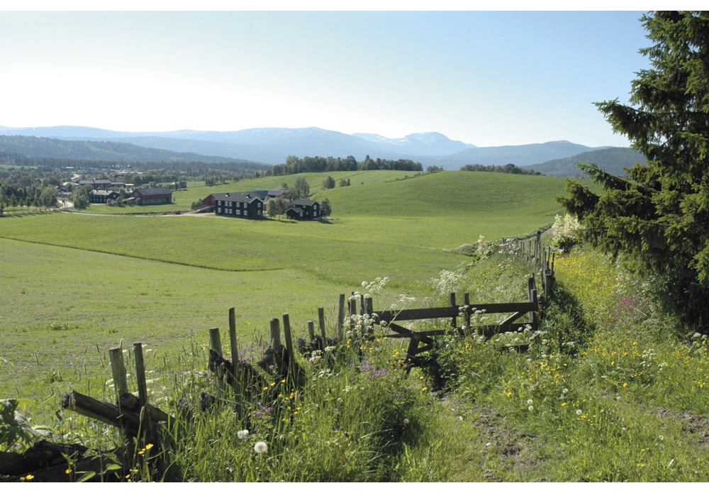 Figur 14.2 Vingelen i Hedmark