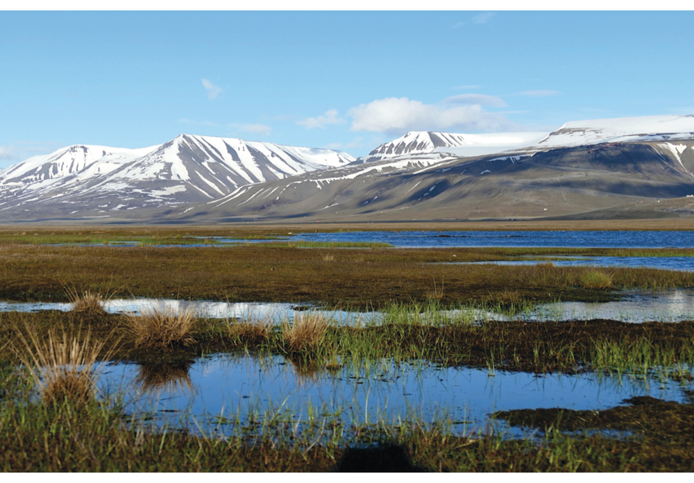 Figure 7.3 Adventdalen.