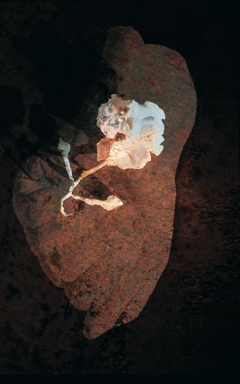 Figur 15.1