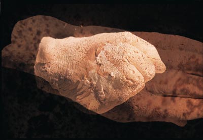 Figur 4.2