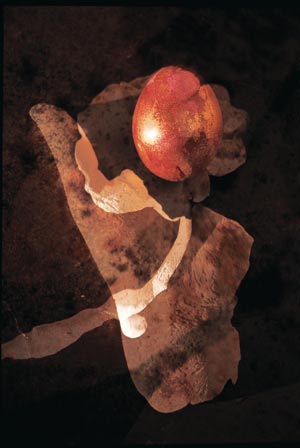 Figur 4.4