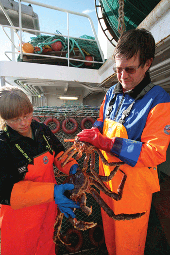 Figur 3.15 Foto: Ann Merete Hjelset, Havforskningsinstituttet
