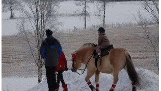 Vinter i Maridalen.