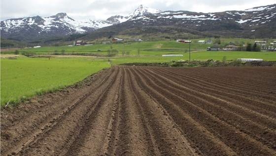 Nypløyd åker