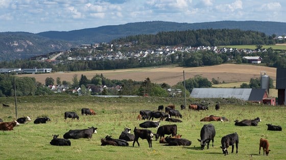 Åkerlandskap