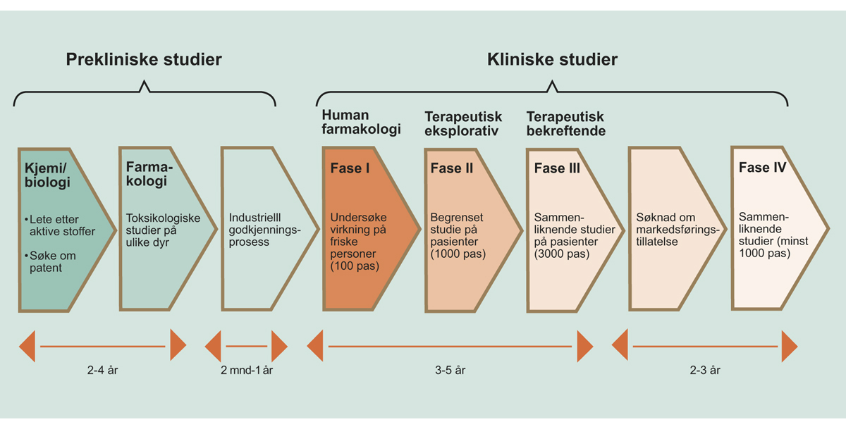 Figur 8.6 Faser i kliniske studier