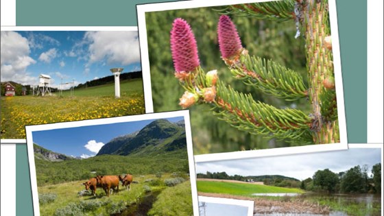 Forside rapport: Landbruk og klimaendringer Forside rapport: Landbruk og klimaendringer