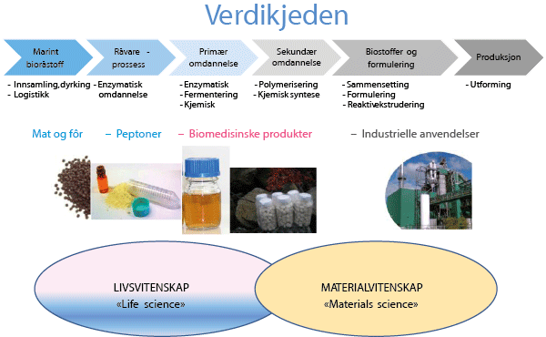 Figur 5.4 Verdikjeden for nye marine produkter.