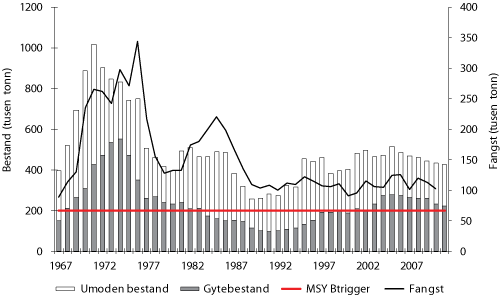 Figur 4.12 Utviklinga i bestand og fangst av sei i Nordsjøen og vest av Skottland. Tala for fangst og bestand i 2010 og 2011 er prognosar.